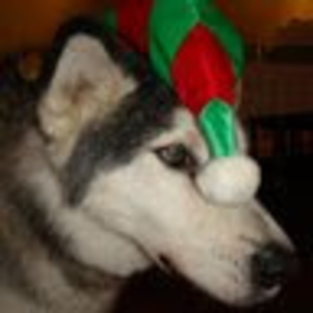 Meet your Posher, Kiki